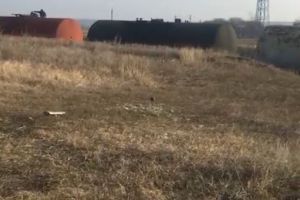 Flagrant la Dorobantu judetul Constanta. Vizati, suspectii de furt din vagoane cisterna ce transporta motorina. Politistii au facut uz de arma pentru prinderea suspectilor