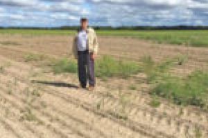 Atenţie, deţinători de terenuri agricole şi animale din Timişoara! Trebuie să treceţi pe la Registrul Agricol
