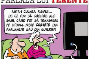 Părerea lui Terente