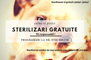 O nouă campanie de sterilizări gratuite, demarată de Asociaţia  Pro Animals