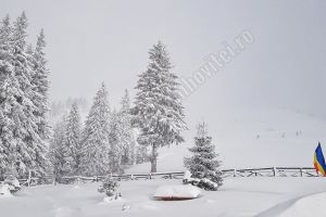 O avalanşă a închis DJ 713 care face legătura între DN71 – Cota 1000 şi Platoul Montan Bucegi