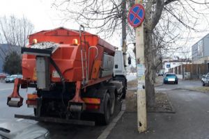 Sararitele actioneaza in oras. Sfaturi pentru constanteni (galerie foto)