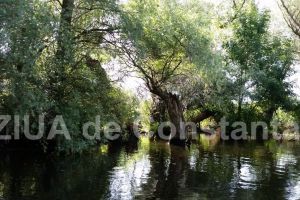 Unic in Romania: Ce au descoperit oamenii iesiti la plimbare in Delta Dunarii 