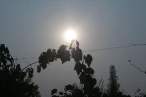 Pictura neclară a sufletului nostru