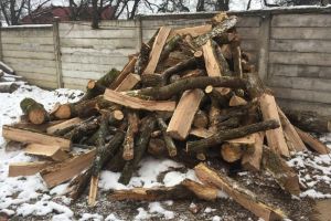 Doi bărbaţi prinşi cu lemne furate după ce au fost reclamaţi prin Scutul Pădurii