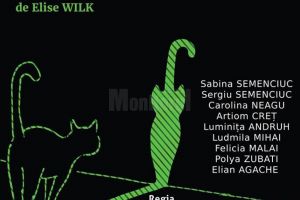 „Pisica verde”, spectacol gratuit, miercuri, la USV