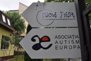 Procentul copiilor cu CES integraţi în unităţile şcolare din Bistriţa este de 2,32% şi nu se apropie de media europeană de 4,44%