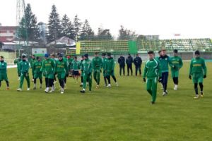 Galben-verzii, program încărcat