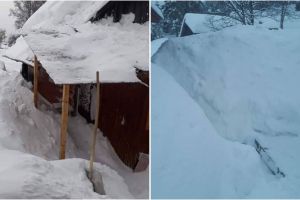 FOTO: Drumuri, curţi şi case acoperite de nămeţi de aproape doi metri în comuna Scărişoara. Oamenii sunt prizonierii zăpezilor