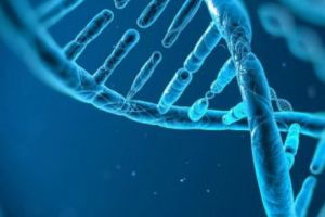 Studiu: ADN-ul ar putea prezice durata de viaţă a oamenilor

