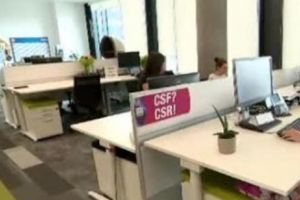 Ce sunt teleangajaţii şi cum pot da peste cap firmele din România. Câteva sfaturi pentru cine vrea să aibă viitor
