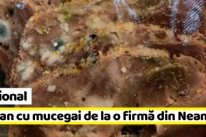 Naţional: Ciolan cu mucegai de la o firmă din Neamţ