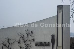 Murfatlar Romania a intrat in faliment. Noul termen, in martie   