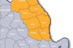 Mişcarea pentru Dezvoltarea Moldovei, asociaţie sau viitor partid?