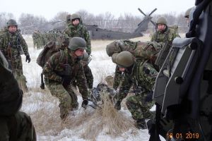 Divizia 2 Infanterie Getica, instruire in comun cu partenerii americani (galerie foto)