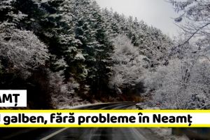 Neamţ: Cod galben, fără probleme deosebite în Neamţ