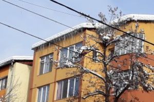 Baia Mare: 1.000 de lei este amenda pentru turturii necuratati. Vezi aici, la ce numar trebuie sa suni pentru a face sesizare