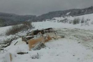 Pe drumul judeţean 136, între Goagiu şi graniţa judeţului Mureş, din nou au avut loc exploatări forestiere iresponsabile.