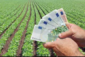Fonduri de peste 2,5 milioane de euro, pentru investiţii în agricultură