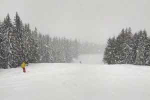 Programul pârtiilor din judeţul Cluj
