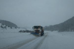 Sub nămeţi: Un drum din Bihor este închis, fiind blocat de zăpadă şi de arbori căzuţi (FOTO)