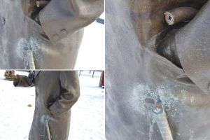 FOTO ȘTIREA TA: Statuile din Cetatea Alba Carolina, din nou vandalizate. Bastonul uneia a fost rupt şi furat