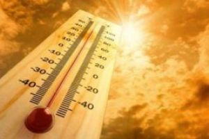 Val de caldura in Australia – In unele parti ale tarii temperaturile s-au apropiat de 50 de grade Celsius