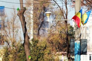 Cui a atribuit Primaria Constanta contractul de montare - demontare drapele pentru sarbatorile nationale (document)