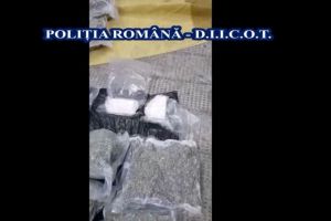 Flagrant, organizat in vama Bors. Politistii si procurorii au depistat mai multi suspecti de trafic de droguri (video)