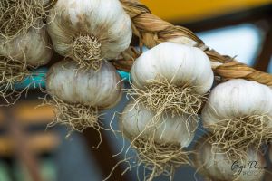 Cultivatorii de usturoi vor simţi miros de bani. Statul le dă 3000 de euro