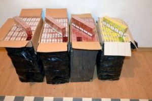 MARAMURES – Contrabanda: 12 colete cu tigari descoperite in apropierea frontierei