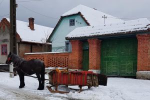 Cu sania trasă de cai în Timiş, acolo unde se termină autostrada