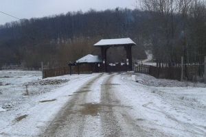 A început vânătoarea de la Balc. Măsuri speciale din cauza pestei porcine