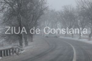 Doua drumuri judetene inchise temporar in Maramures. Copaci cazuti pe carosabil si pericol de avalansa