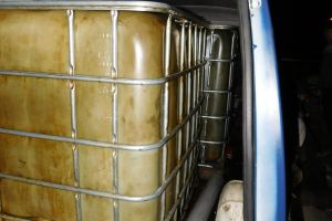 Decizia judecătorilor pentru tinerii acuzaţi de furt de ţitei