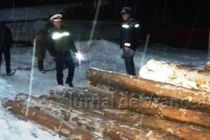 Amenzi de peste 48.000 de lei pentru hoţii de lemne