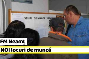 AJOFM Neamţ: 236 NOI locuri de muncă, comunicate în săptămâna 14-18 ianuarie