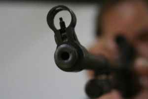 Mistreţul cu pestă porcină africană, împuşcat în Munţii Ţibleşului, adus în Molişet