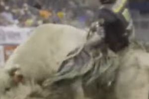 O VEDETĂ A LUMII A MURIT la numai 25 de ani. Final horror, moarte violentă. Breaking news