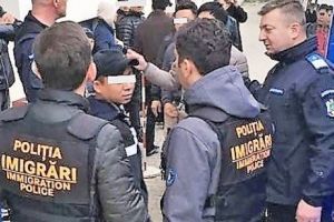 Activitate intensă a poliţiştilor de Imigrări Constanţa. Zeci de străini expulzaţi, sub escortă, din ţară