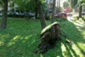 Cluj-Napoca: Oraşul a fost serios afectat de ”uraganul” de duminică! Cum arată Parcul Central luni dimineaţa - VIDEO