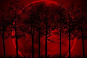 Eclipsa totală de Lună va fi vizibilă în România luni dimineaţa, aproape o oră. Ce este Super-Luna Sângerie