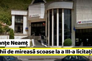 NEAMȚ: Rochii de mireasă scoase la a III-a licitaţie de Finanţe