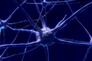 Ce sunt NEURONII-OGLINDĂ şi cum îţi influenţează viaţa