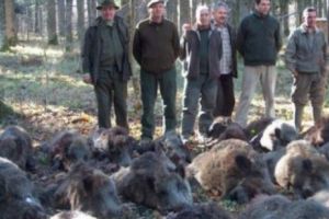PLÂNGERE PENALĂ pentru Ion Ţiriac. Sunt vizaţi şi alţi GREI ai lumii. Breaking news
