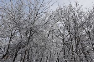Ce anunţă meteorologii pentru luni, 21 ianuarie