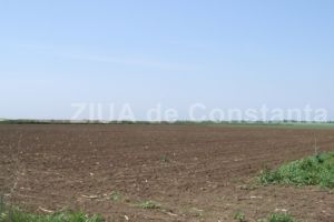 Exproprieri in judetul Constanta, pentru proiectul Conducta Țarmul Marii Negre - Podisor“. Cine este pe lista (III)