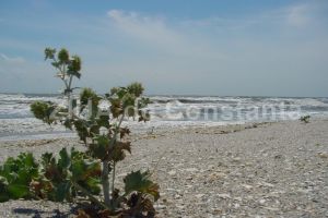 Black Sea Oil  Gas a primit raspuns de la APM Constanta pentru conducta de la Corbu