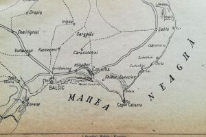 #citesteDobrogea: Despre camilele din Dobrogea, foci si rechini din Marea Neagra. Titluri noi in Biblioteca Virtuala ZIUA de Constanta