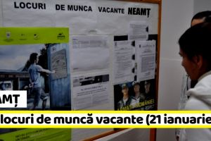 AJOFM Neamţ: 614 locuri de muncă vacante la data de 21 ianuarie